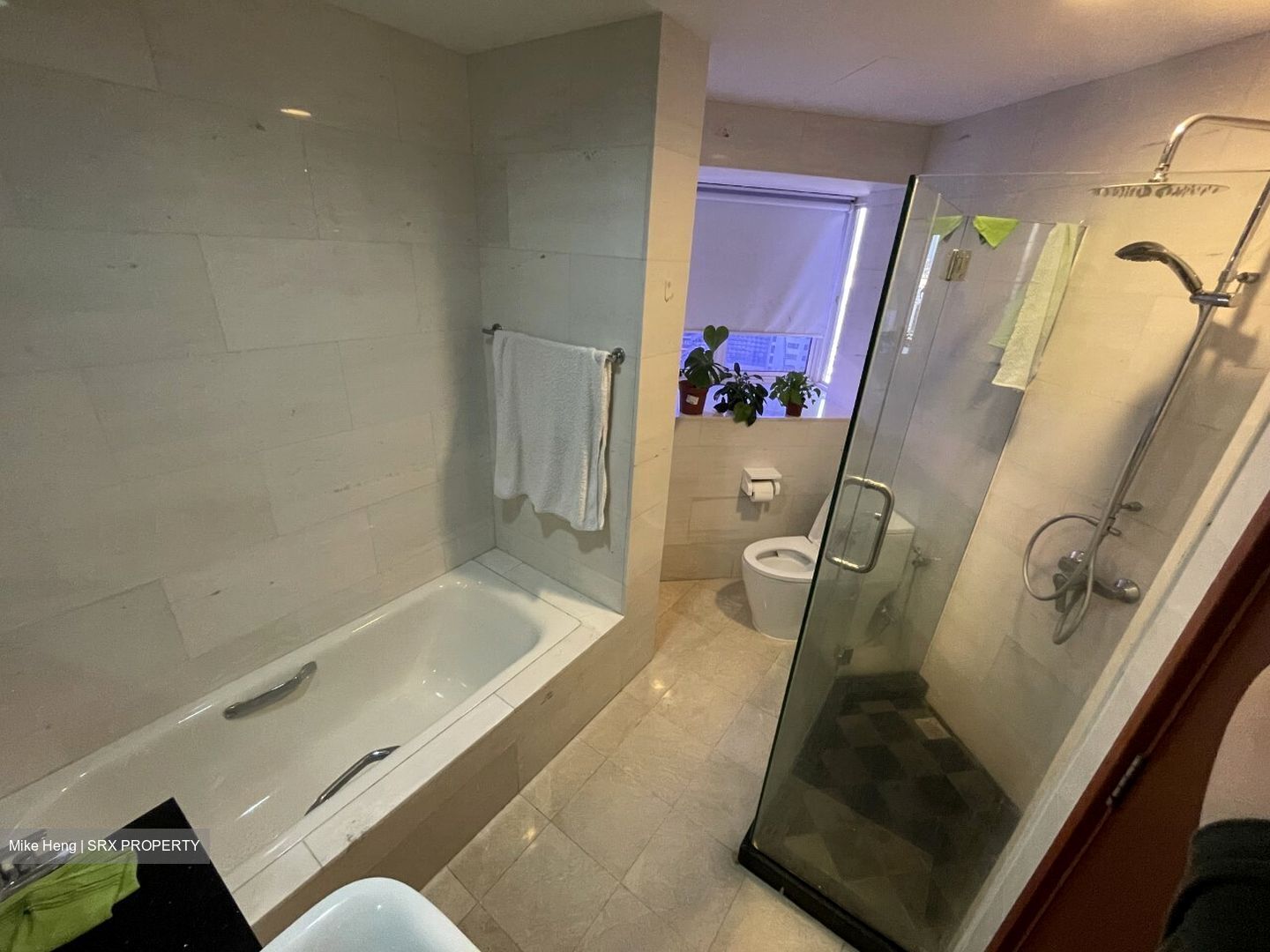 Cote D'Azur (D15), Condominium #349079971